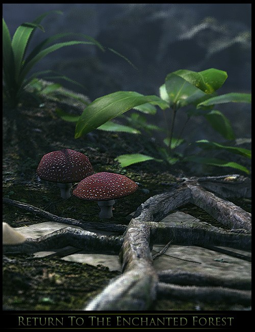 Return To The Enchanted Forest